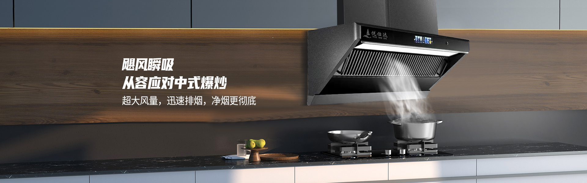 廣東悅仕達(dá)電器有限公司,悅仕達(dá)專(zhuān)業(yè)生產(chǎn)悅仕達(dá)廚衛(wèi)電器